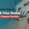 How to Check Your UAE Visa Status Online: Complete Guide