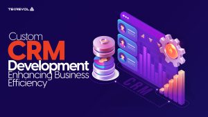 CRM Software Development for Business Growth