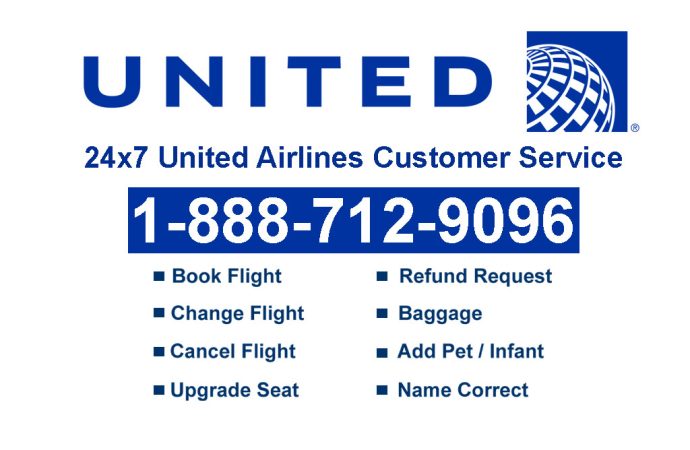Complete Step-by-Step United Airlines Customer Service Help
