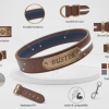 10 Must-Have Features in Every Custom Dog Collar