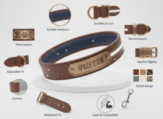 10 Must-Have Features in Every Custom Dog Collar