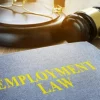 Advising on Labor Regulation in Kazakhstan for Employer Laws