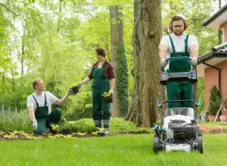 Landscaper Pflugerville TX | Lawn Care, Trees & Yard Services
