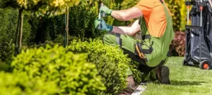 Landscaper Pflugerville TX