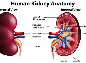 APOL1, C1q Nephropathy & C3 Glomerulopathy Treatment Guide