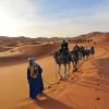 Morocco Desert Tours: Sahara Camel Treks, Camps & Travel