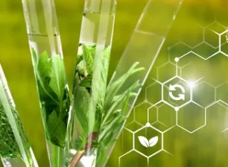 Biostimulants market growth trends and sustainable agriculture