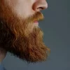 Red Beard Hairs Explained: Causes, Genetics & Grooming Tips