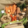 Eat Right Basket as Your Trusted Partner for Pure Sustainable Sourcing