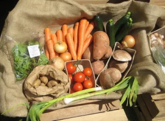 Eat Right Basket as Your Trusted Partner for Pure Sustainable Sourcing