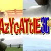 Crazy Cattle 3D: Master the Ultimate Physics Chaos Game