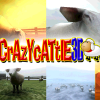 Crazy Cattle 3D: The Surprisingly Addictive Sheep Physics Game