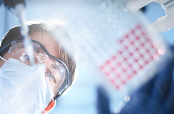 B-Cell Revolution: Single-Cell Profiling & Immune System Insights