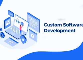 Custom Plugin Development for Scalable and Flexible Platforms