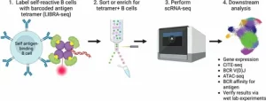 BCR profiling