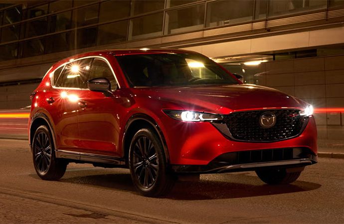 Used Cars for Sale in South Africa: Popular Types and Models