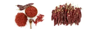 Paprika Supplier