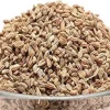 The Global Trade of Carom Seeds: A Guide to Buy Carom Seeds Bulk