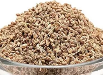 The Global Trade of Carom Seeds: A Guide to Buy Carom Seeds Bulk
