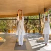 Luxury wellness retreats India for Ayurveda and holistic healing