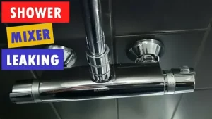 Leaking Bathroom Tap Repair