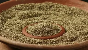Carom Seeds