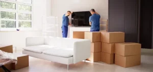 Furniture Movers