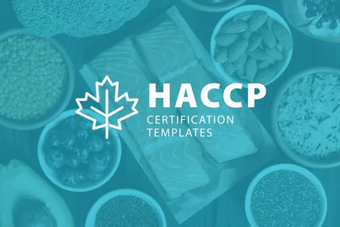 HACCP Certification in Bahrain: Why Regular Reviews Matter