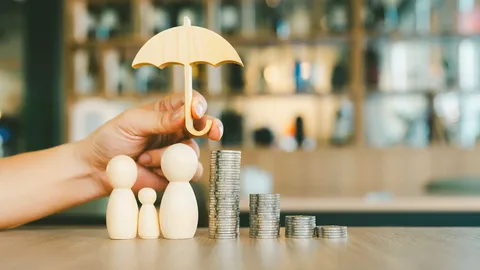 Life Insurance NZ: Protecting Your Family’s Financial Future
