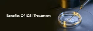 ICSI Procedure