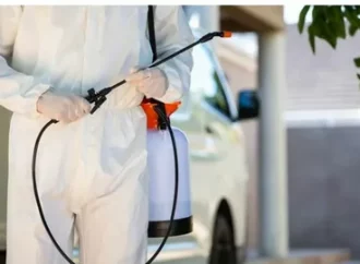 Building and pest inspection in Ocean Shores cost guide 2026