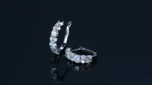 925 Silver Earrings