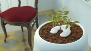 Biodegradable Urn