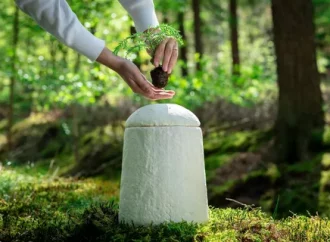 Biodegradable Urn for Human Ashes: Eco-Friendly Choices