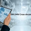 SAP EWM: Build a Career in Warehouse and Supply Chain