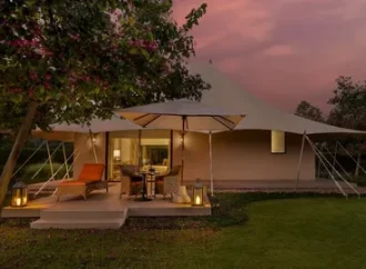 Best Resort in Bandhavgarh: A Comfortable Wildlife Getaway