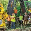 Forestry Services in Vermont: Sustainable Land Stewardship