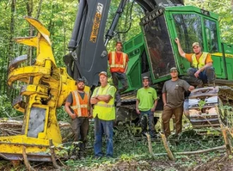 Forestry Services in Vermont: Sustainable Land Stewardship