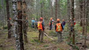 Forestry Services