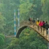 Meghalaya Tour: Best Places to Visit & Travel Guide