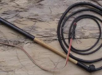 Stock Whips for Sale: Premium Australian Stock Whips