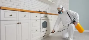 Fumigation Services