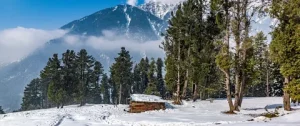 Jammu and Kashmir